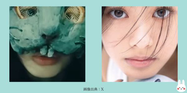 兎と安斉星来の顎の比較(新空港占拠)
