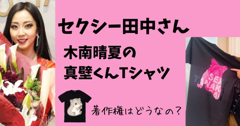 【セクシー田中さん】木南晴夏のTシャツ画像！著作権侵害にあたるかSNSの反応は？