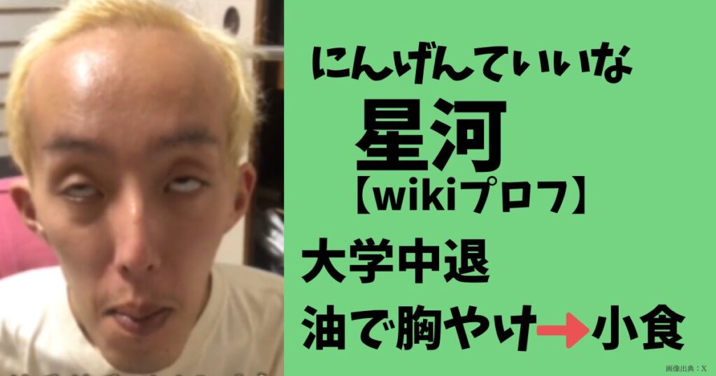 にんげんていいなの星河（芸人）のwiki・学歴・経歴