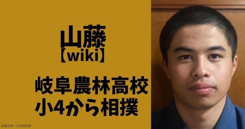 山藤（相撲・力士）のwikiと経歴と学歴